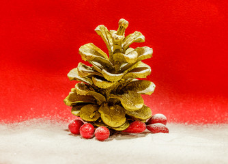 Golden cone and mistletoe covered with snow on red background