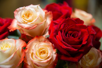 bouquet of roses