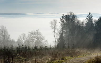 Obraz na płótnie Canvas fog in the valley