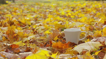 Naklejka na ściany i meble A cup of coffee with yellow fallen leaves background