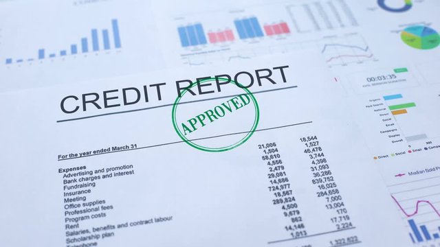 Credit report approved, hand stamping seal on official document, statistics