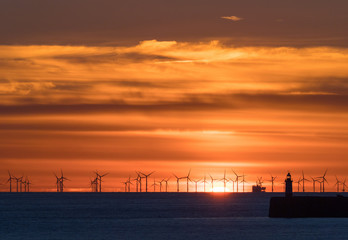 Rampion Windfarm and Newhaven Lighthouse at Sunset