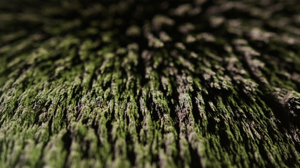 The natural phenomenon of magnetism ferrofluidic substances under the action of a neodymium magnet can create really impressive visual effects if examined under appropriate conditions.