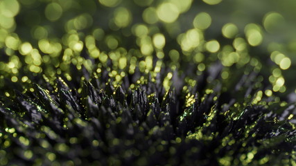 The natural phenomenon of magnetism ferrofluidic substances under the action of a neodymium magnet...