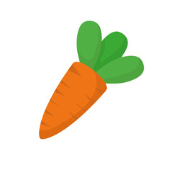 carrot fresh isolated icon