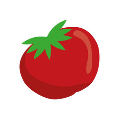fresh tomato vegetable icon