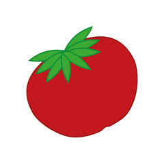 fresh tomato vegetable icon