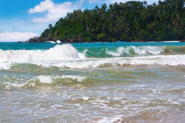 Beautiful tropical landscape.