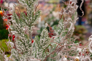 Christmas decoration with white pine branch in snow and red berries of vibrunum. Merry Christmas decoration background. New Year greeting card. Coniferous branch in frost. 