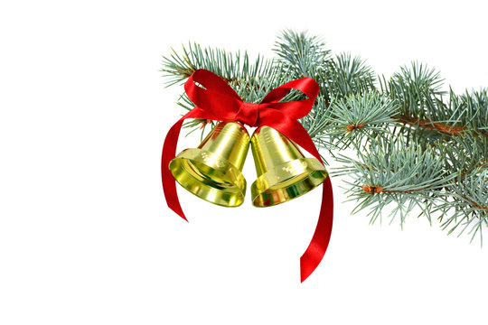 Golden Christmas bells with red ribbon on silver fir tree branches isolated on white. Christmas background.