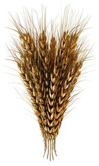Fototapeta premium Golden spikelet. 3d render