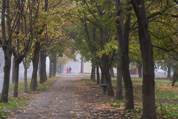 Naklejka premium Man and woman on a walk in the Park on a morning foggy.