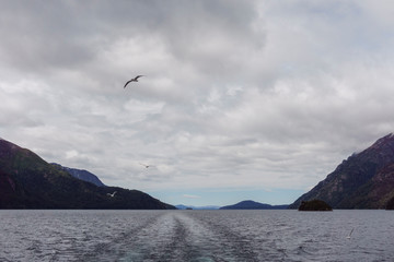 Scenic View of Seagull flying against Andes mountains, Nahuel Huapi National Park, Patagonia, Argentina