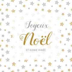 Fototapeta na wymiar Joyeux Noel et Bonne Annee - french Christmas wishes. Vector