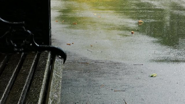 Park Bench On A Rainy Summer Day