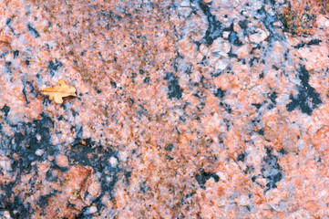 Sea stone texture. Panel texture. Spots gray red background. Background fill. Natural stone background.