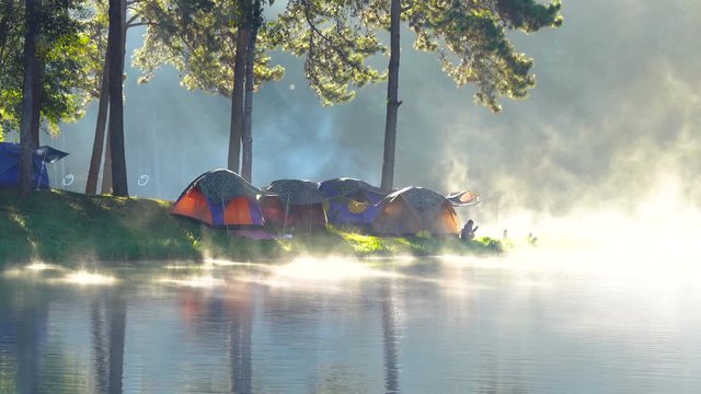 Adventures Camping tourism and tent under the pine forest with reflection on water  in morning at Pang-ung, Mae Hong Son, Thailand