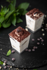 Mini dessert made from delicate creamy vanilla mousse and chocolate. Candy bar. Assortment of confectionery.