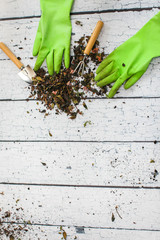 Rubber green safety gloves hand shovel and gardening rake on wooden board agriculture concept.