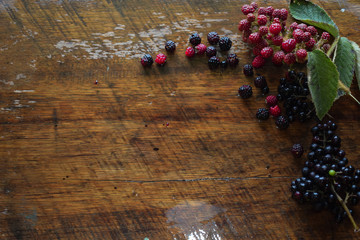 forest fruits backgrounds