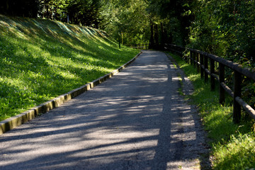 In the park