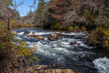 River in the forest