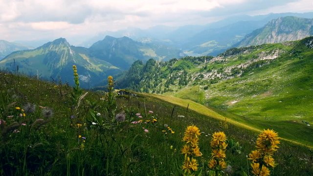Typical summer mountains Switzerland landscape at sunny day time