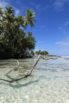 moorea, beauté, paysages, mer, lagon, tahiti, couchers de soleils