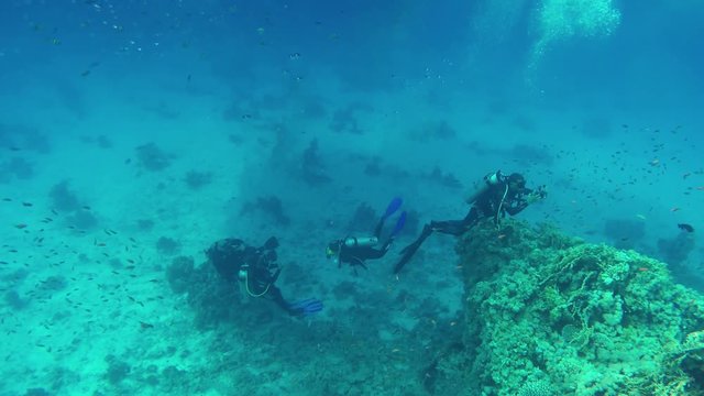 Diving in exotic sea, unidentified scuba divers dive in the clear water and do underwater photography at the depths of the tropical clean sea. Romantic adventure, flora and fauna, underwater world