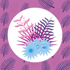 tropical flowers design