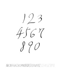 벡터 문자 / 손으로 쓴 글씨체