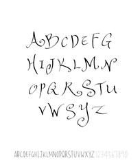 벡터 문자 / 손으로 쓴 글씨체