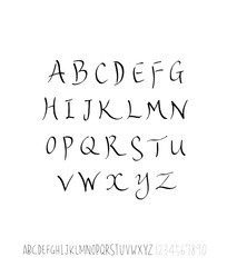 벡터 문자 / 손으로 쓴 글씨체