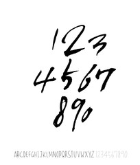 벡터 문자 / 손으로 쓴 글씨체