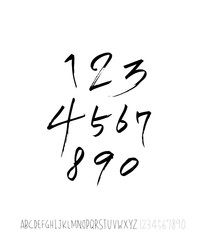 벡터 문자 / 손으로 쓴 글씨체