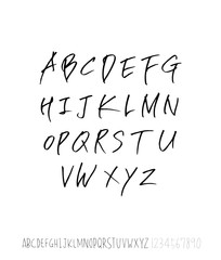 벡터 문자 / 손으로 쓴 글씨체