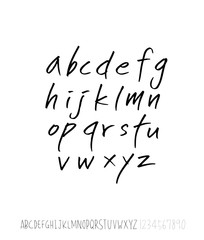 벡터 문자 / 손으로 쓴 글씨체