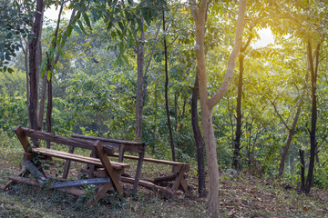 Ruins old wooden chairs in the forest.