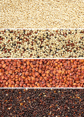 Set with different types of quinoa, top view