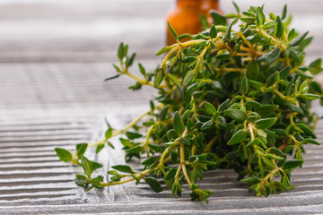 essential oil of thyme on a gray wooden rustic background