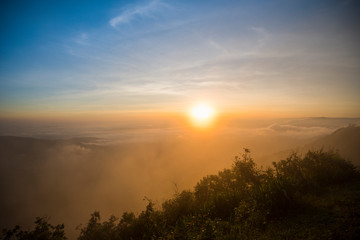 foggy landscape dramatic/ the morning beautiful sunrise mist cover mountain background - forest hill mist fog flow with wind and blue sky