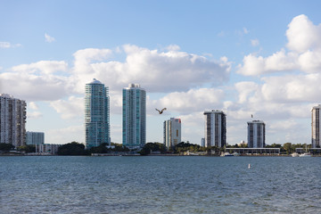 Obraz premium skyline of miami