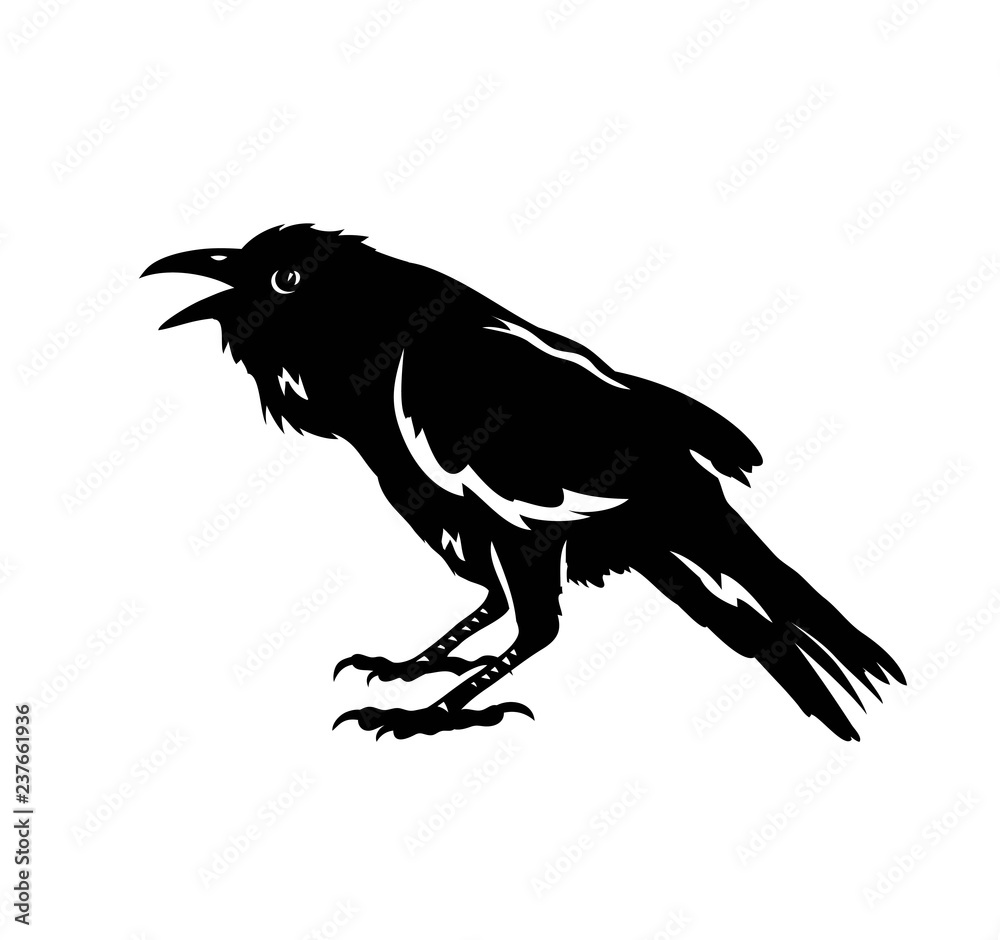 Canvas Prints raven bird silhouette, art vector design