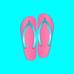 Flip flops beach slippers element for summer theme, Summer concept