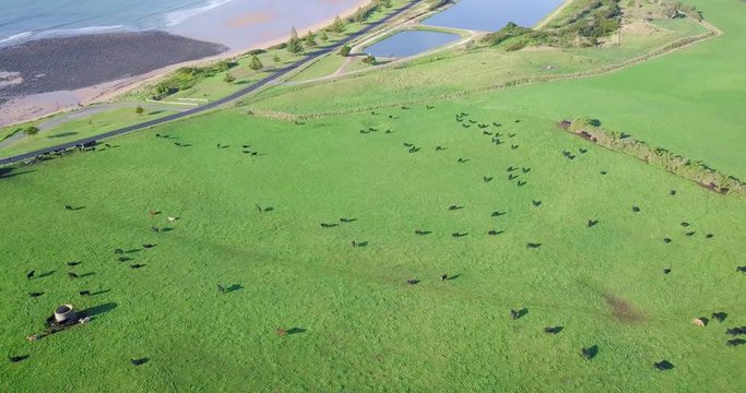 Amazing aerial flight over green field towards huge rock in Tasmania, Australia