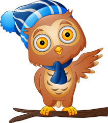 Cute Cartoon owl in a hat and scarf on tree branch
