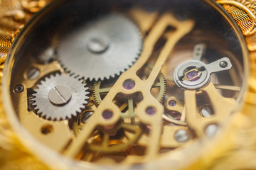 Golden watch's gear