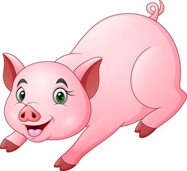 Cute pig cartoon posing