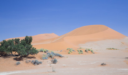 Fototapeta na wymiar Namibia Sand Dunes