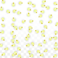 Vector Realistic Pink Petals Falling on Transparent Background.  Spring Romantic Flowers Illustration. Flying Petals. Sakura Spa Design. Blossom Confetti.
